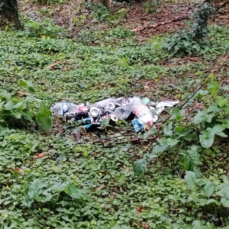 L'analyse révèle la présence des déchets suivants :

*   **Canettes de boissons (aluminium et acier) :** Estimation de 15 à 20 unités, pour un poids total d'environ 0,5 kg.
*   **Bouteilles en plastique (PET) :** Estimation de 2 à 3 unités, pour un poids total d'environ 0,2 kg.
*   **Emballages plastiques souples (films, sachets) :** Estimation de 5 à 7 unités, pour un poids total d'environ 0,1 kg.
*   **Déchets divers (verre, papier, carton) :** Présence possible en quantité limitée, difficile à estimer précisément sur la base de l'image. Estimation de 0,1 kg.
