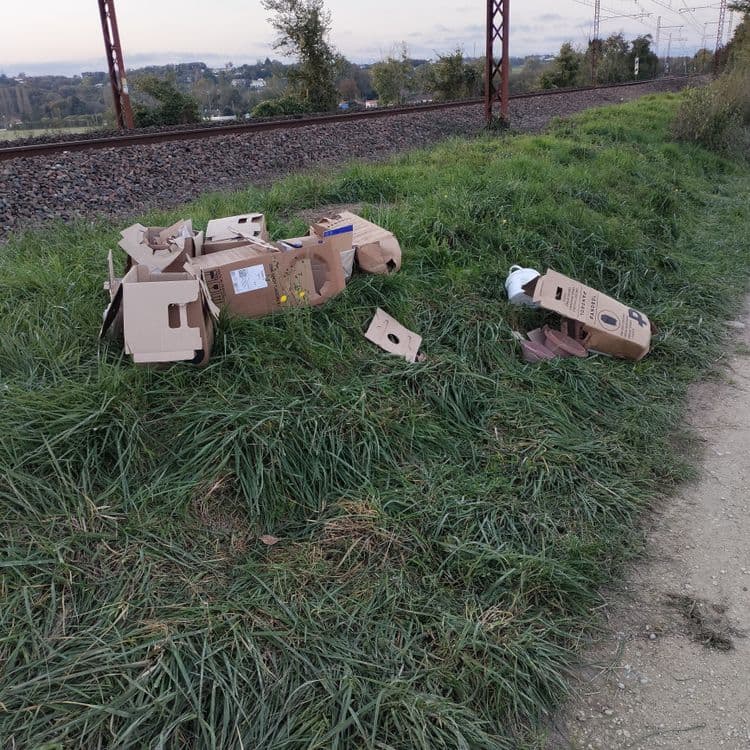 Une dizaine de cartons remplis de gravats.