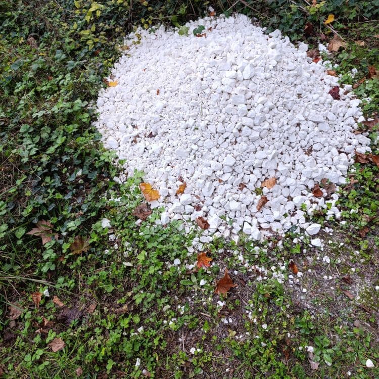300 kg de gravats déposer le long d'un chemin derrière Lafarge 