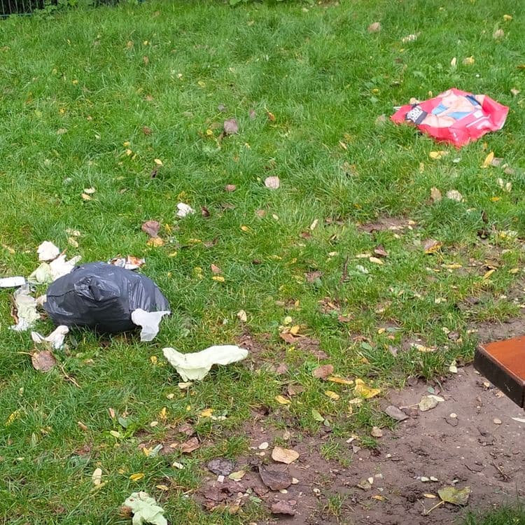 Un pneu usagé et déchets divers dans un parc