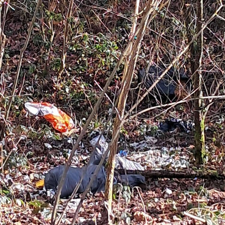 Début de décharge sauvage sur le côté d'un chemin de marche. Dans la descente, des gens ont jeté des sacs poubelle, des ordures. Juste à côté coule une rivière qui mène au château d'eau. Pollution insupportable aussi bien pour la faune et la flore que pour les habitants du coin. Lieu: allée qui mène au barrages des gannes en bas du lieu dit la Grange.