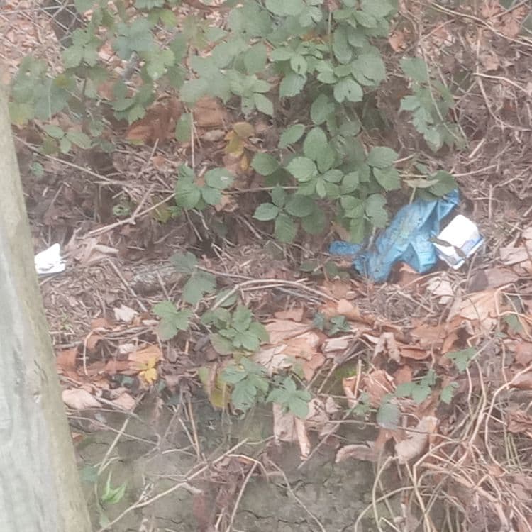 Sachet plastique et déchets plastiques 