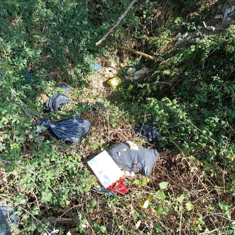 Sacs poubelles déversés dans le ruisseau 
