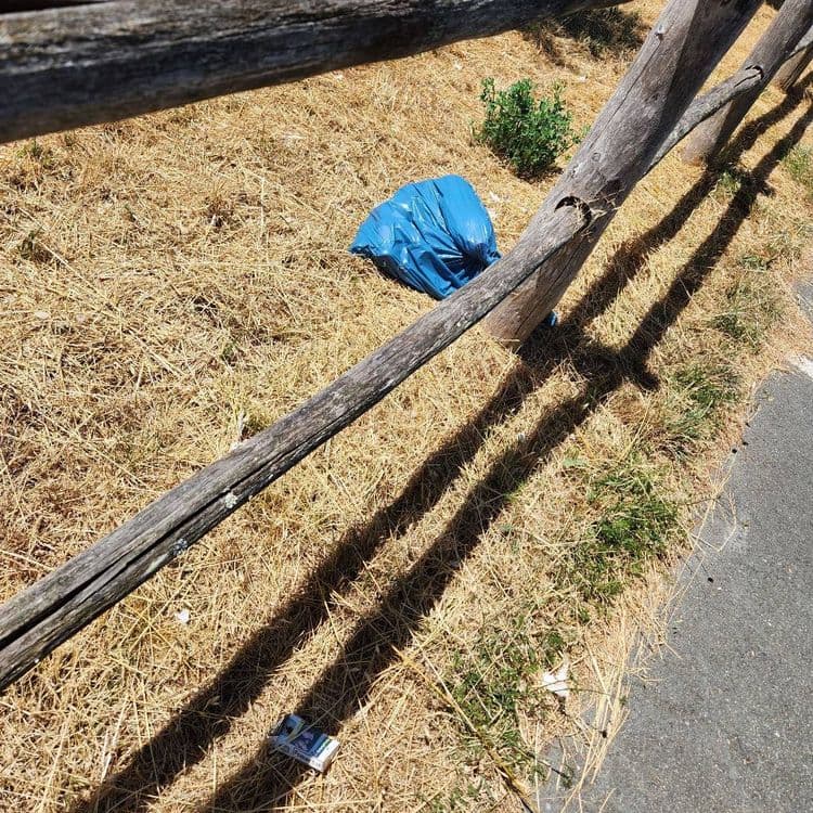 En l'absence de poubelles.!!  Dépôts d'ordures ménagères 