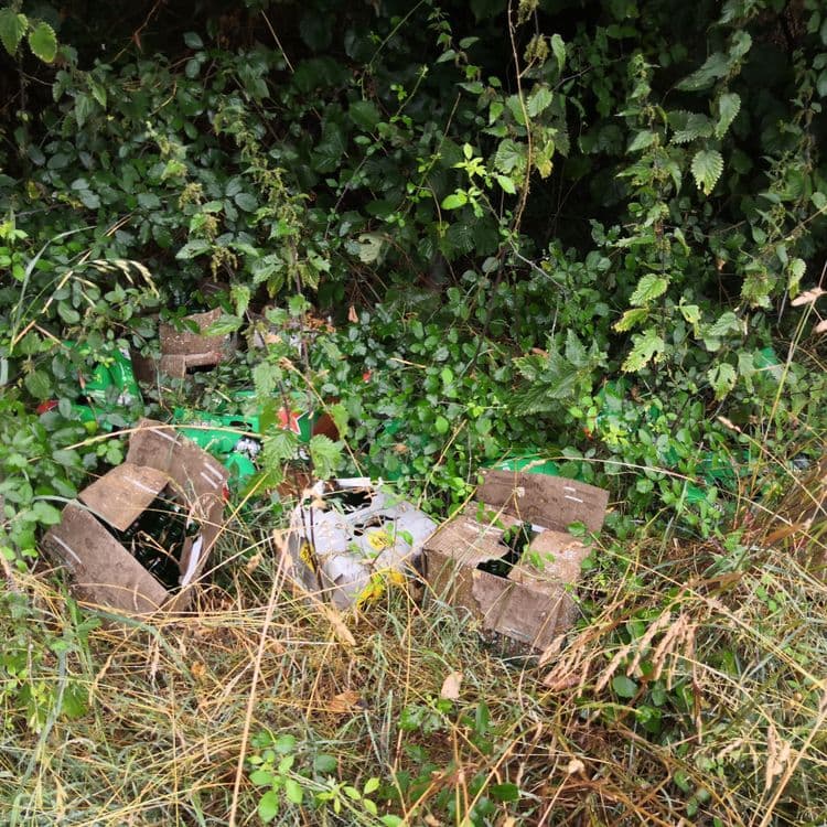 Voici une évaluation des déchets présents sur l'image :

Plusieurs cartons de bouteilles en verre, probablement des bouteilles de bière de marque Heineken, sont visibles. On peut estimer qu'il y a environ 3 caisses complètes ou incomplètes. Compte tenu du poids d'une bouteille en verre pleine et de celui d'un carton, on pourrait estimer le poids total de ce type de déchets entre 10 et 15 kg.

On observe également des déchets verts, composés de broussailles, de ronces et d'orties. La quantité est difficile à estimer visuellement, mais cela pourrait représenter environ 2 à 3 kg.

