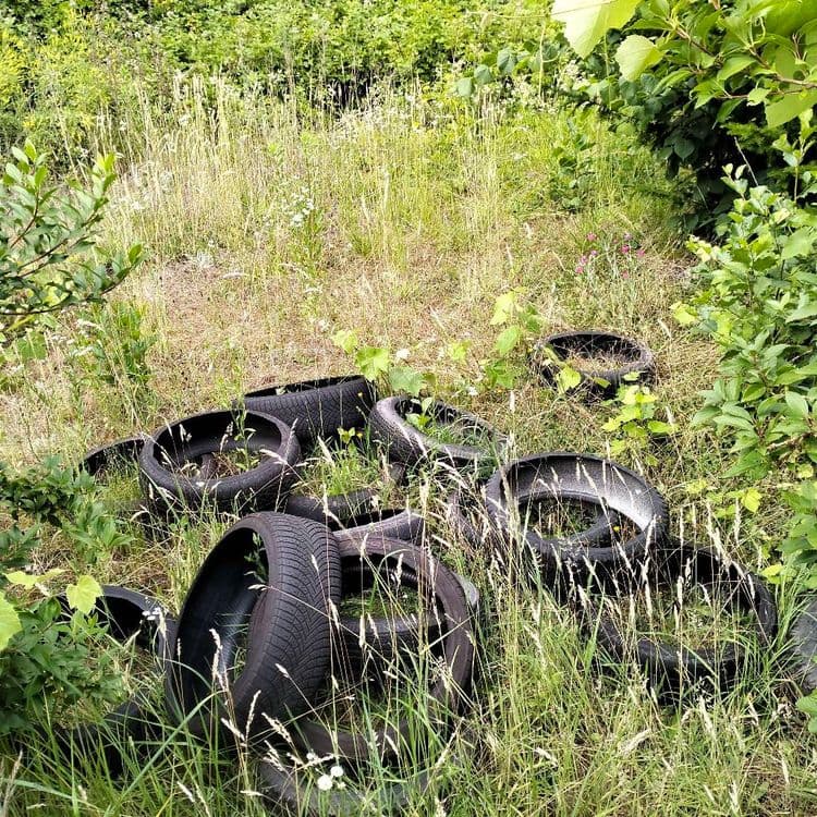 Pneus usagés abandonnés dans un jardin ouvrier 