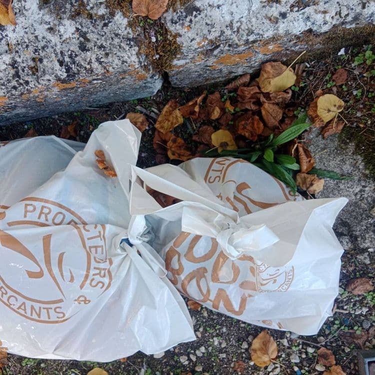 Les mêmes sacs que d'habitude, déposés ce mercredi. Intermarché, des prospectus, comme à chaque fois des gobelets à café. Le ramassage a eu lieu il y a deux jours.
