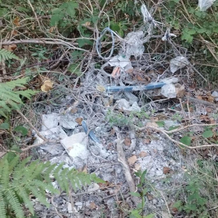 Dépôt de déchets de maçonnerie 
En forêt domaniale 