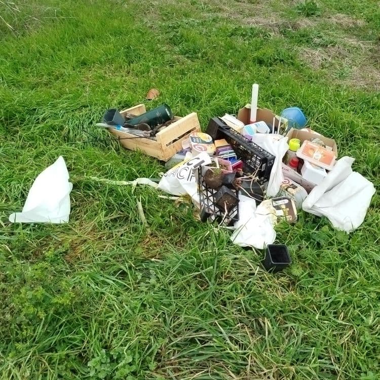 Divers plastiques en bord de chemin
