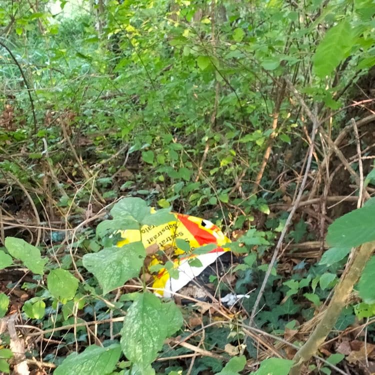 Plaque Fibro ciment, bidon plastique, vêtements et déchets divers en pleine forêt 
