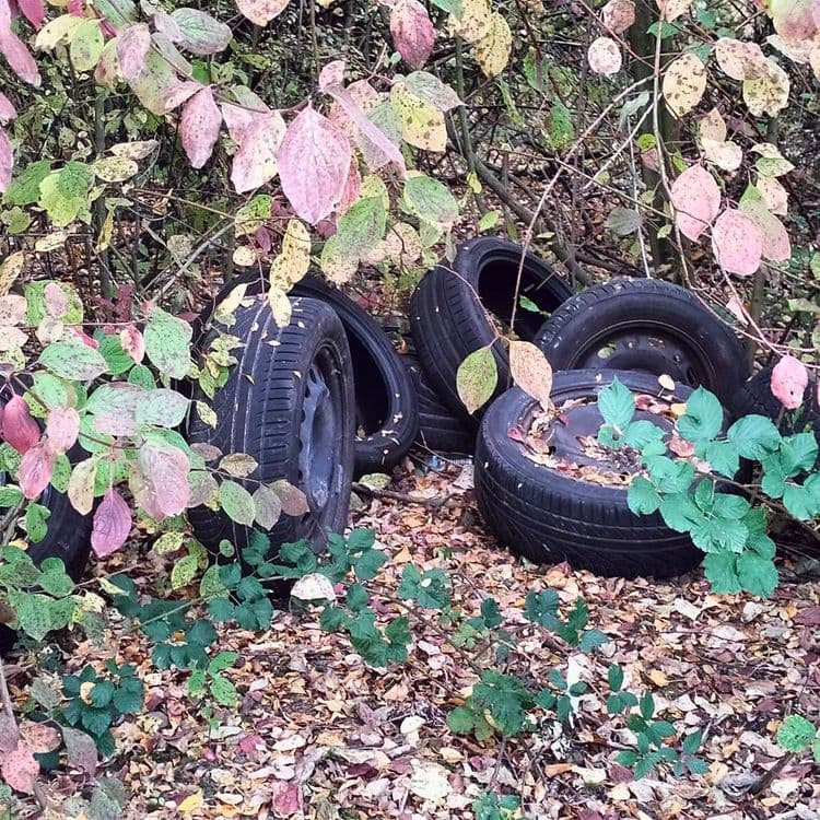 Pneus usagés abandonnés dans un bois en zone d'activité 