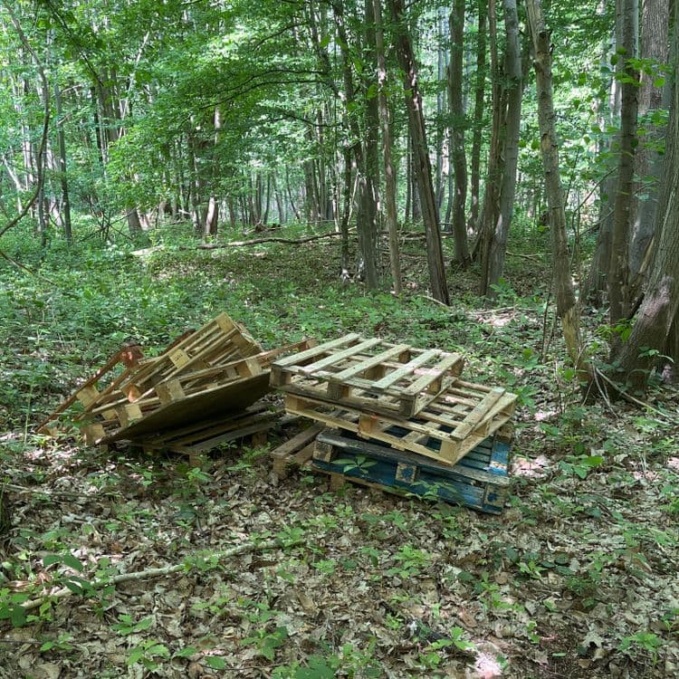 Palettes en bois 