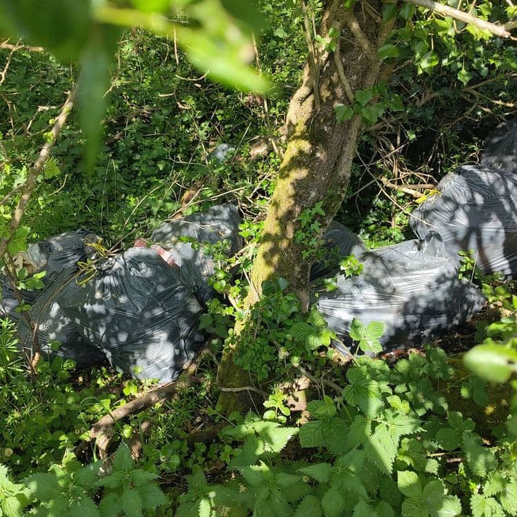 6 ou 7 sacs poubelles remplis de déchets ménagers 