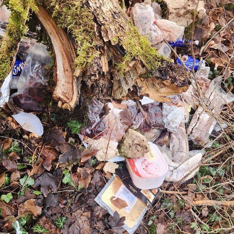 Voici une estimation des déchets présents sur le site :

*   **Déchets alimentaires emballés :** On observe une quantité importante d'emballages plastiques contenant potentiellement des restes de nourriture. Le poids estimé de ces déchets est d'environ 3 à 5 kg. La quantité est estimée à une vingtaine de sacs et emballages individuels.
*   **Emballages plastiques divers :** On constate également des emballages plastiques vides, tels que des sacs de congélation. Le poids total de ces emballages est estimé à environ 1 kg. La quantité est estimée à une dizaine d'emballages.
*   **Barquette polystyrène :** Une barquette polystyrène vide est visible. Le poids est négligeable, environ 50 grammes.
*   **Boîte plastique :** Une boîte plastique (type pot de glace) est présente. Son poids est estimé à environ 100 grammes.
*   **Emballage cartonné :** Un emballage cartonné est visible. Son poids est estimé à environ 200 grammes.
*   **Autres déchets :** On note la présence de petits déchets divers non identifiables précisément, estimés à environ 500 grammes au total.

Il est important de noter que ces estimations sont basées sur l'observation des photos et peuvent varier en fonction de la densité réelle des déchets.