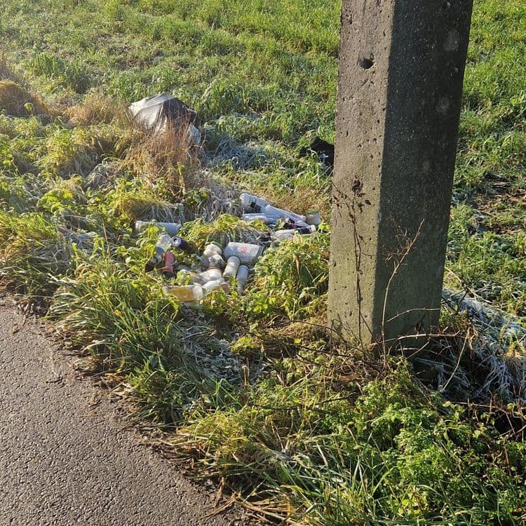 Bouteilles en verre et plastique, 1 sac poubelle. 