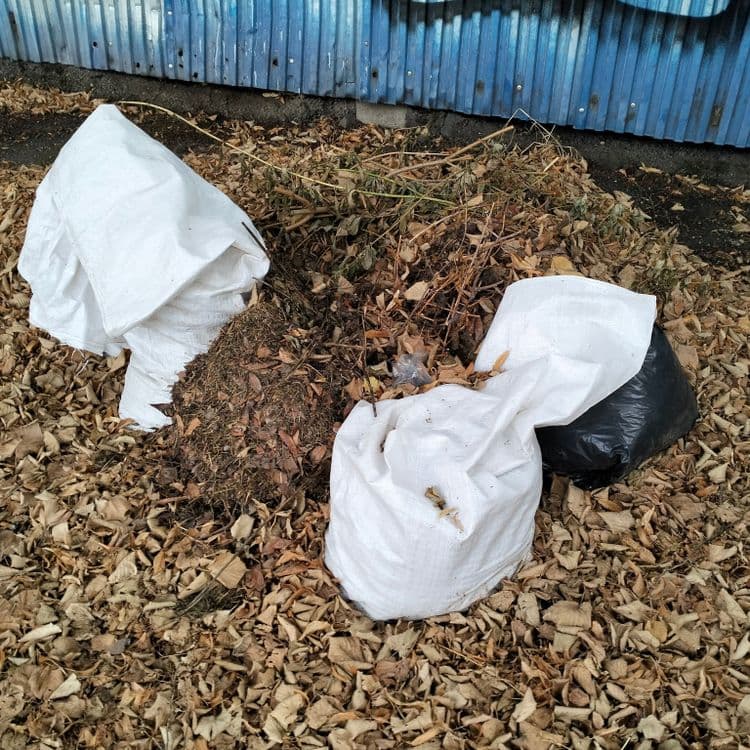 Pots de peinture et déchets verts abandonnés sur un parking public à côté d'une déchetterie 