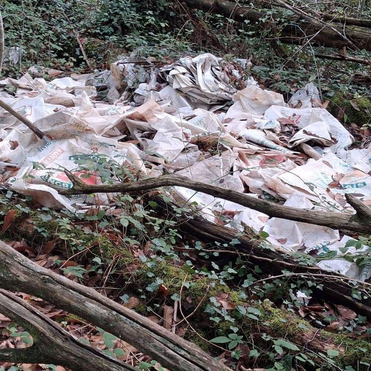 Un gros tas d'engrais en plein bois.
Quelle honte !
