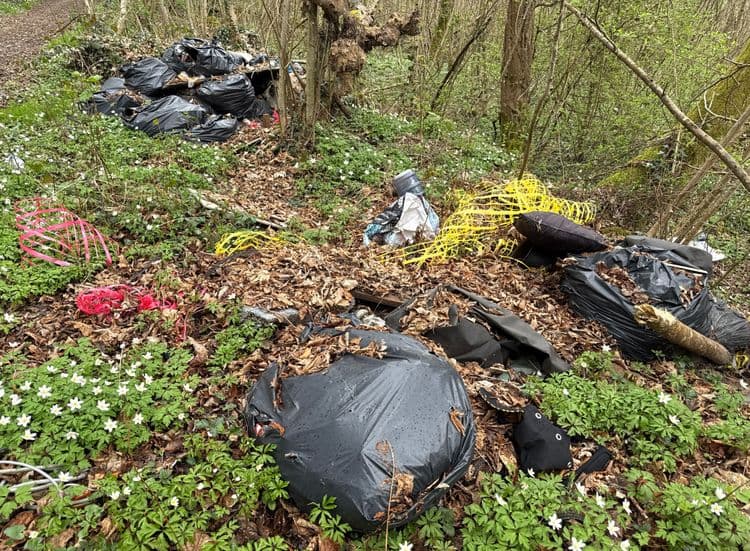 Voici une liste des déchets visibles sur la photo, avec une estimation du poids et de la quantité :


**Déchets en plastique :**

* Sacs poubelles noirs : Plusieurs sacs de tailles diverses sont présents.  On estime un poids total de 15 à 20 kg, avec environ 8 à 10 sacs.
* Bouteille en plastique : Une seule bouteille est visible, estimée à 0,5 kg.
* Filet de chantier jaune : Un rouleau de filet en plastique jaune, estimé à 1 kg.
*  Déchets plastiques divers (non identifiables avec précision) :  Quantité estimée à 2kg. 


**Autres déchets :**

* Déchets textiles : Un coussin ou un objet textile est visible,  estimé à 1 kg.
* Bois et débris végétaux : Plusieurs morceaux de bois et une grande quantité de feuilles sont mélangés aux déchets. Il est difficile d'estimer le poids avec précision, mais on peut estimer entre 5 et 10 kg.
* Déchets ménagers divers :  Il y a des déchets ménagers non identifiables avec précision enfouis dans les sacs poubelles et dispersés sur le sol.  Le poids est difficile à estimer, on peut considérer 5 kg au minimum.


**Déchets potentiellement dangereux :**

Bien que non visibles à première vue, il est possible que des déchets dangereux soient enfouis dans les sacs poubelles, ce qui nécessite une prudence lors de leur manipulation.


**Total estimé :**  Entre 30 et 45 kg de déchets.  Ces estimations sont approximatives,  une évaluation sur site serait nécessaire pour une plus grande précision.
