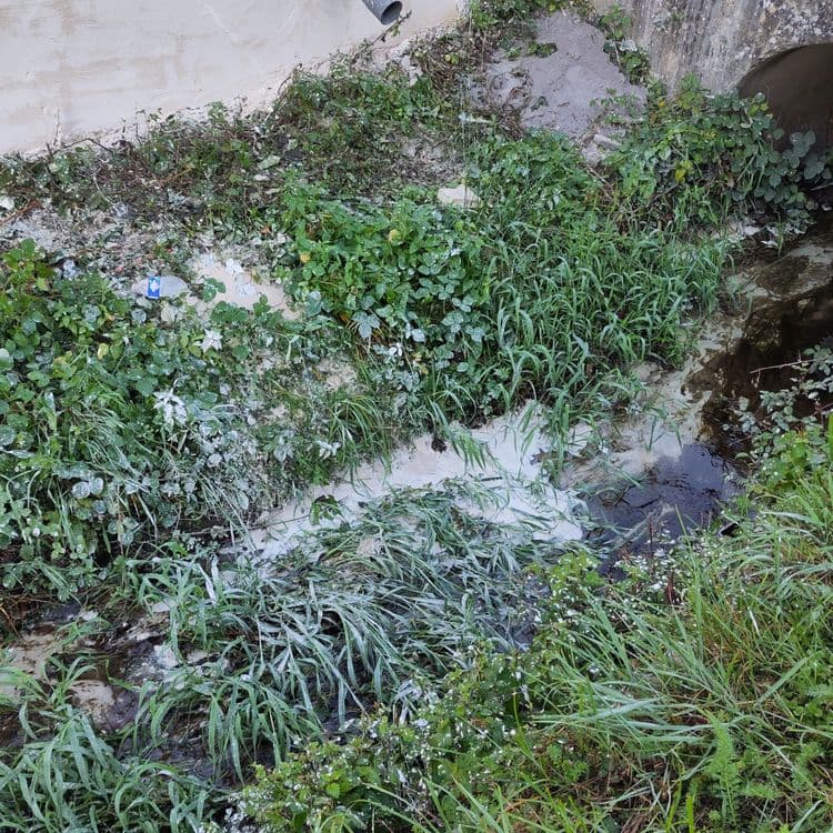 Voici l'analyse des déchets présents sur les images..
Suite à la projection d'un crépi sur 2 murs construits au bord du ruisseau, ceux ci n'ayant pas été protégé, du crépi se retrouve dans le ruisseau et sur les berges en grande quantité. Ce ruisseau abrite des batraciens, des salamandres et permet aux oiseaux de boire. Bouteilles plastiques.
