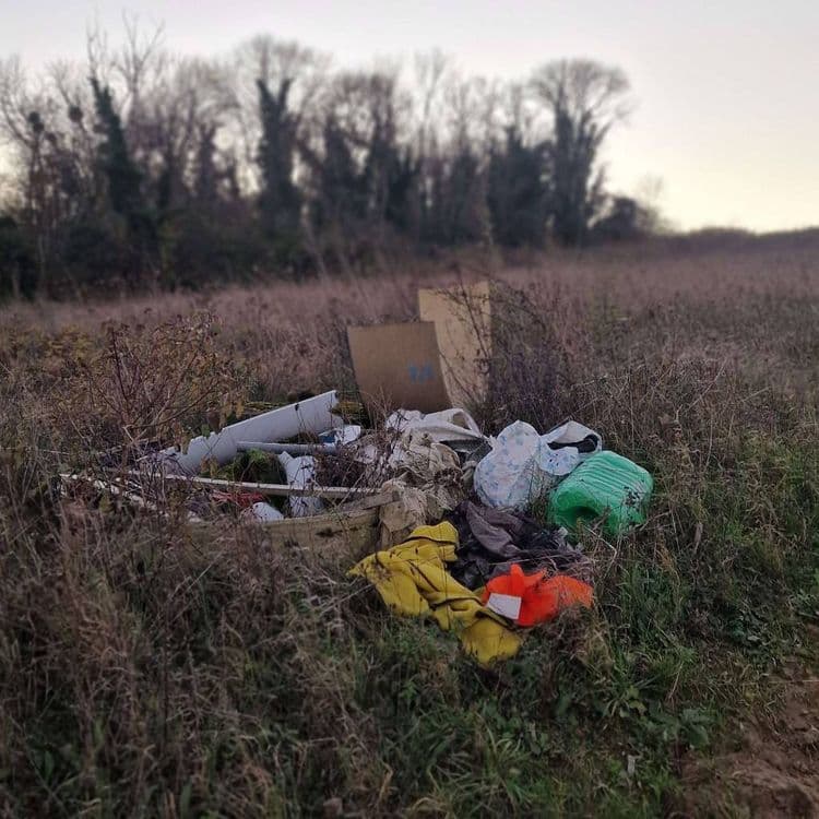 Déchets sauvage de types encombrants et substances toxique