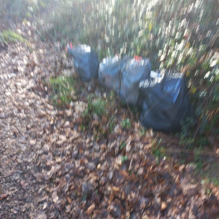 Plusieurs sacs plastiques de déchets, des déchzts de fast food tous le long de cette route forestière jusqu au parcours de santé lui même jonché de déchets