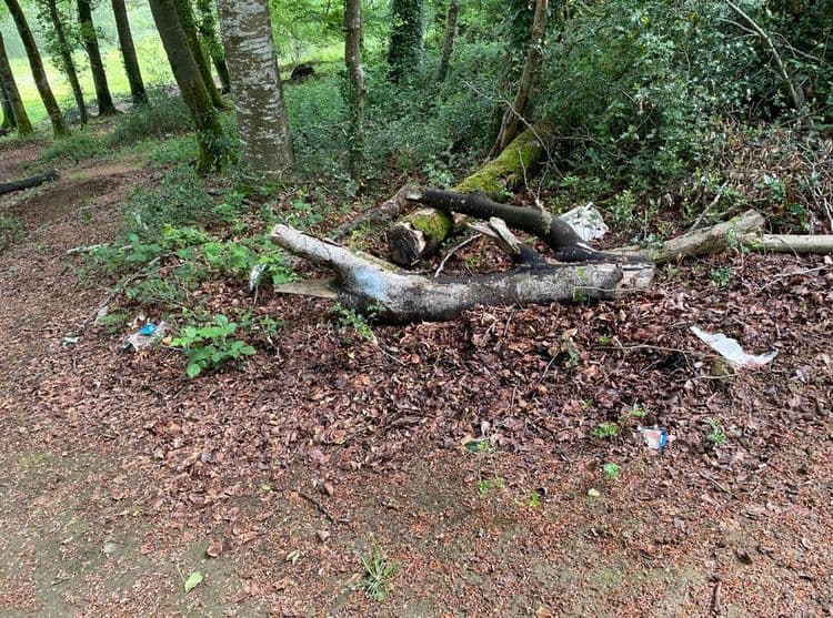 Déchets, emballages de nourriture, déjà signalé à la mairie 
