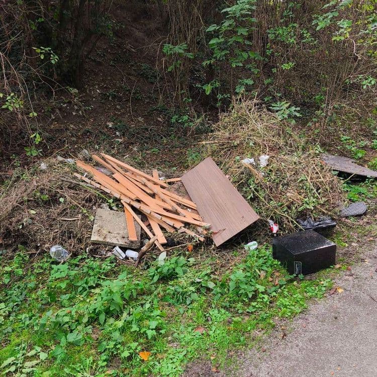 Les déchets abandonnés sur le site comprennent :

*   Des lattes de bois, environ 25 pièces, pour un poids estimé à 10 kilogrammes.
*   Un panneau de bois aggloméré, 1 pièce, d'un poids estimé à 10 kilogrammes.
*   Des dalles de béton, 2 pièces, pour un poids estimé à 15 kilogrammes.
*   Un boîtier électronique, 1 pièce, d'un poids estimé à 5 kilogrammes.
*   Des bouteilles en plastique, environ 4 pièces, pour un poids estimé à 0,2 kilogramme.
*   Des sacs et films plastiques, quelques fragments, pour un poids estimé à 0,1 kilogramme.
*   Des canettes métalliques, environ 2 pièces, pour un poids estimé à 0,1 kilogramme.
*   Un sac poubelle noir, 1 pièce, d'un poids estimé à 0,1 kilogramme.
*   Des déchets verts (branchages, herbes sèches), une quantité importante, pour un poids estimé à 15 kilogrammes.