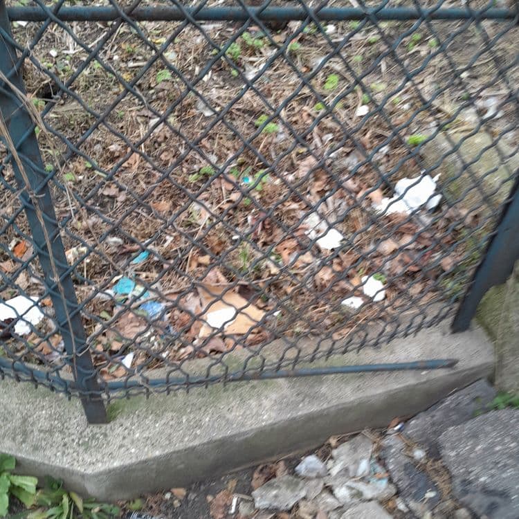 Plein de déchets plastiques et alimentaires qui s accumulent de jour en jour. Ducoup sa fait venir les rats.