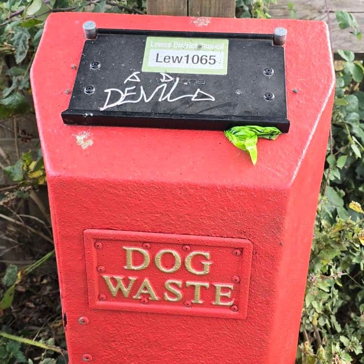 Poo bin is full 