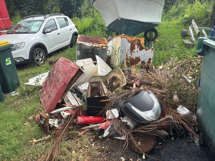 Voici une estimation des déchets présents sur l'image :

*   **Déchets d'électroménager (réfrigérateur) :** Estimation d'environ 50 kg pour les éléments visibles, comme la carcasse rouillée. Il semble y avoir des pièces éparses.
*   **Débris automobiles/moto :** Incluent un capot rouge (environ 10 kg), des pièces de carrosserie diverses (estimées à 5 kg au total) et divers éléments mécaniques (environ 8 kg).
*   **Déchets divers :** Comprend des déchets plastiques (estimés à 3 kg), des déchets métalliques (environ 7 kg), des déchets de construction/démolition (environ 12 kg) et des déchets verts (feuilles, branches, etc. : environ 5 kg). Il y a aussi une quantité indéterminée de déchets non identifiables, estimés à environ 10 kg.
