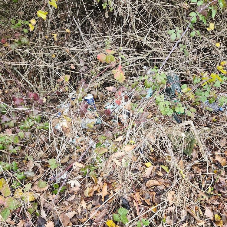  sac poubelle éventré ,déchets ménager.
 se trouve en lisière de forêt