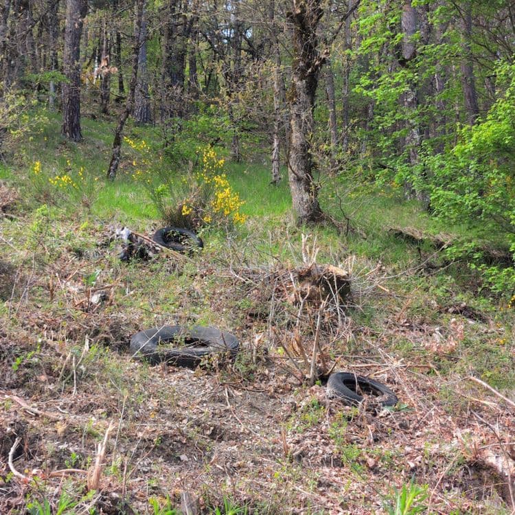 L'image révèle la présence de plusieurs déchets abandonnés en pleine nature.

On observe principalement des pneus usagés, au nombre d'environ quatre. Le poids estimé pour chaque pneu se situe entre 8 et 12 kilogrammes, ce qui donne un total d'environ 32 à 48 kilogrammes pour l'ensemble.