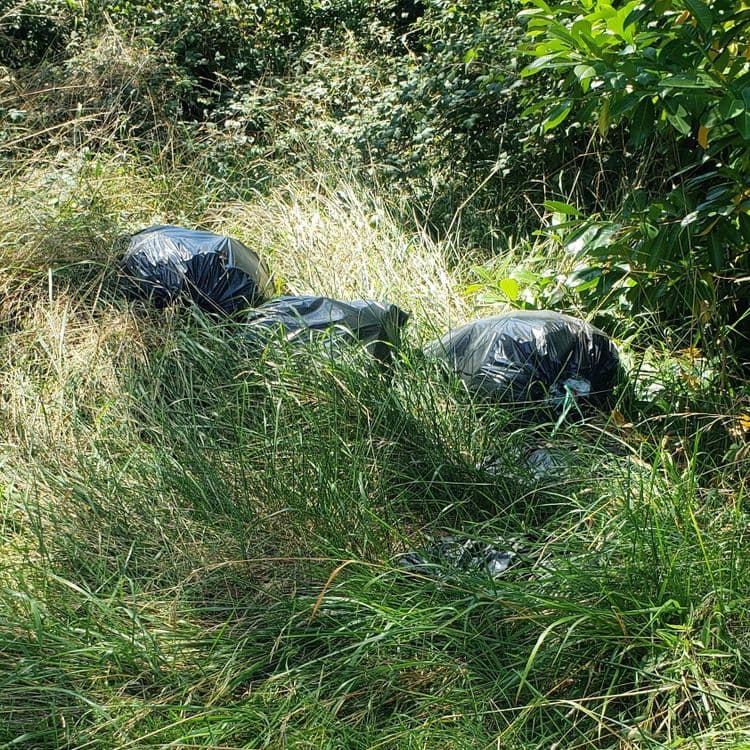 Presence de sacs poubelles pleins cachés derrière la haie