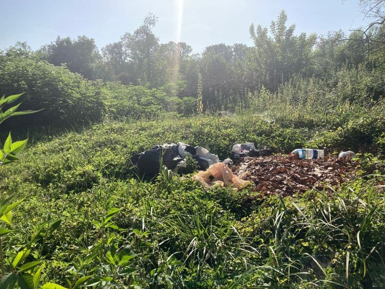 Plusieurs déchets de différentes matières (bouteilles plastiques, sacs noirs).