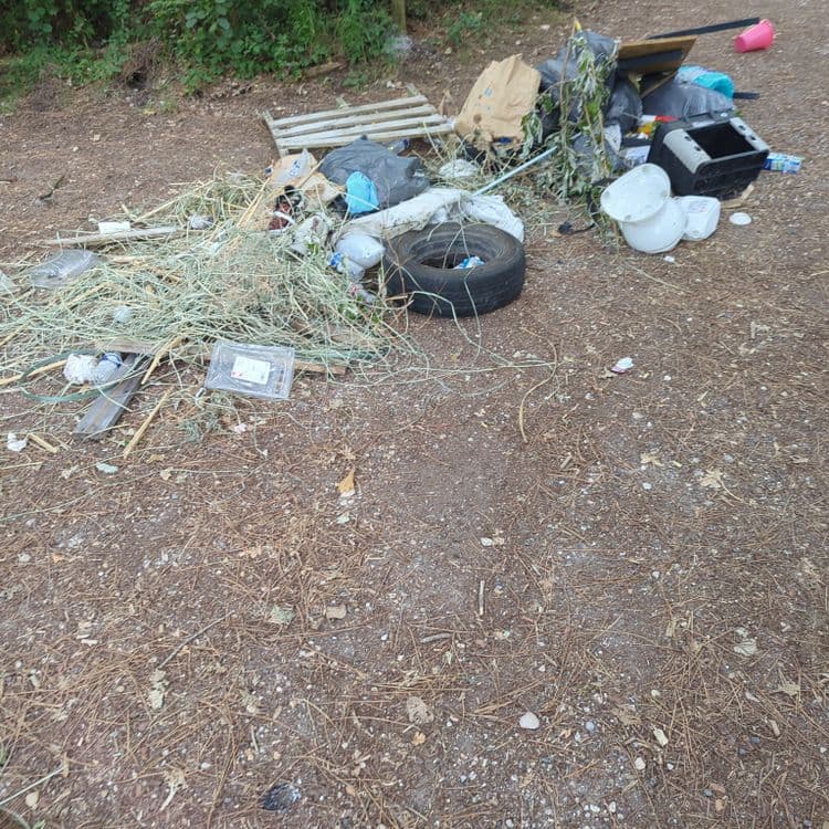 Voici l'analyse des déchets présents sur la photo :

*   **Déchets divers en plastique** : Bouteilles, emballages alimentaires, fragments divers. Estimation : 3 kg, une vingtaine de pièces.
*   **Pneumatique** : Un pneu usagé. Estimation : 8 kg, 1 unité.
*   **Déchets verts** : Branchages, herbes coupées. Estimation : 5 kg, un amas conséquent.
*   **Objets en polystyrène** : des fragments divers. Estimation : 1 kg, une dizaine de pièces.
*   **Déchets de construction/démolition** : Bois (palette), Plastique dur (ancien bac). Estimation : 15 kg, 1 palette et 1 bac.
*   **Sacs poubelles** : Plusieurs sacs contenant des déchets non identifiables. Estimation : 10 kg, 3 sacs.
*   **Autres objets** : Seau en plastique, cartons divers. Estimation : 2 kg, 2 unités.
