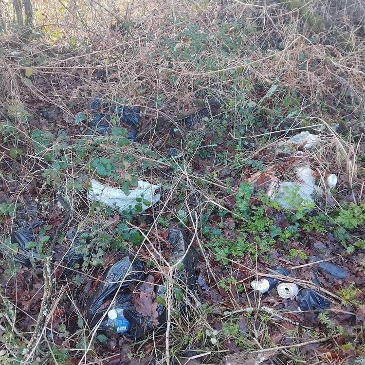 4 ou 5 sacs poubelle où il y a des emballages, bières...