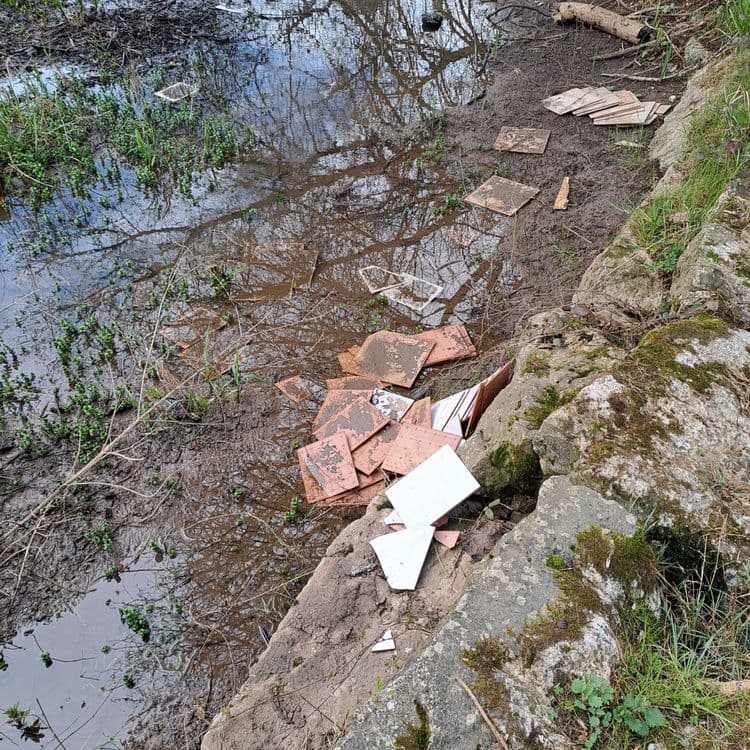 Voici une liste des déchets visibles sur la photographie, ainsi qu’une estimation de leur poids et quantité :


Déchets céramiques : Il s’agit de nombreux morceaux de carrelage cassés, de couleur ocre et blanc, éparpillés dans la zone humide.  L’estimation du poids total est de 5 à 7 kg. Il y a environ 30 à 40 morceaux de différentes tailles.

Déchets bois : Des branches et des morceaux de bois sont présents dans et autour de la zone humide.  Le poids total est estimé à 2 à 3 kg.  La quantité est difficile à estimer précisément, mais il y a plusieurs dizaines de petits morceaux et quelques branches plus importantes.

TOTAL : Le poids total estimé des déchets est compris entre 7 et 10 kg.
