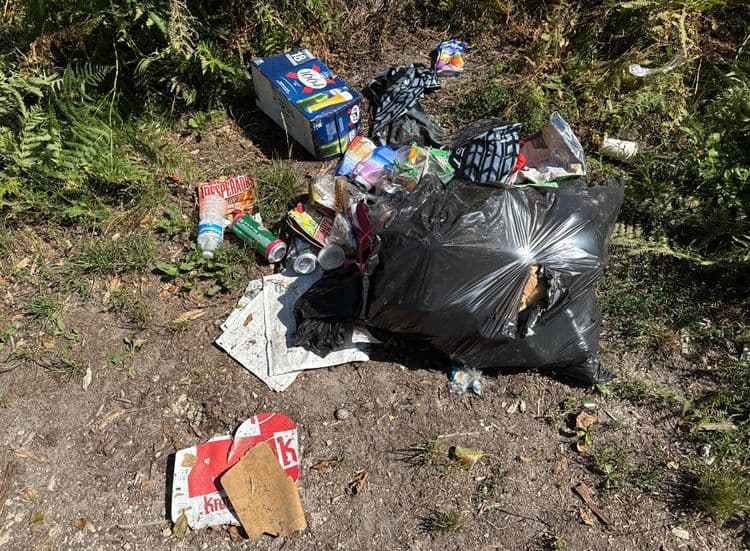 Voici une analyse des déchets présents sur l'image :

*   **Emballages de boissons :** Une boite de bière de 18 bouteilles de marque 1664, des canettes de bière (environ 5), une bouteille d'eau en plastique (500g), un paquet de chips Desperados. Le poids total estimé est de 3 kg.

*   **Déchets alimentaires :** Divers emballages alimentaires (environ 10), tels que des emballages de bonbons, des barres chocolatées, etc. Le poids total estimé est de 1 kg.

*   **Sacs plastiques :** Plusieurs sacs plastiques, dont un grand sac noir rempli de déchets (volume estimé : 50 litres) et des sacs de type cabas. Le poids total estimé est de 2 kg.

*   **Papiers et cartons :** Des journaux, un emballage de gâteau de marque Kinder. Le poids total estimé est de 0.5 kg.