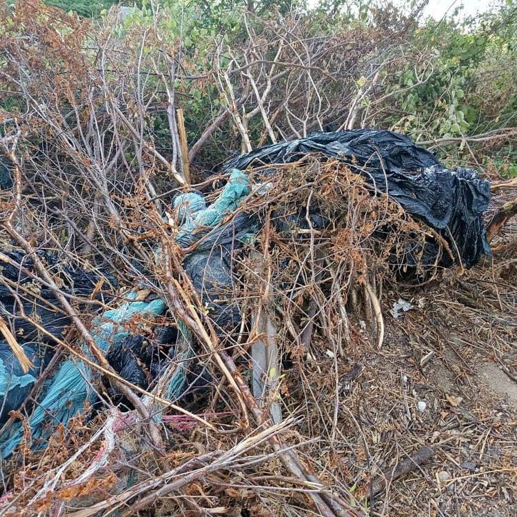 Dépôt d'objets métalliques rouillés, ficelles et plastiques agricoles. Ordures ménagères anciennes suspectées.
