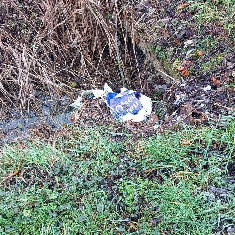 Sur l'image, on peut identifier plusieurs types de déchets. On observe un sac en plastique de la marque "O'sea jeu", dont le poids est estimé à environ 50 grammes. Il y a aussi des débris de plastique non identifiables d'environ 100 grammes. Des déchets organiques, tels que des feuilles mortes et des branchages, sont présents, avec un poids estimé à 200 grammes. La quantité de débris plastiques éparpillés est d'environ 3.