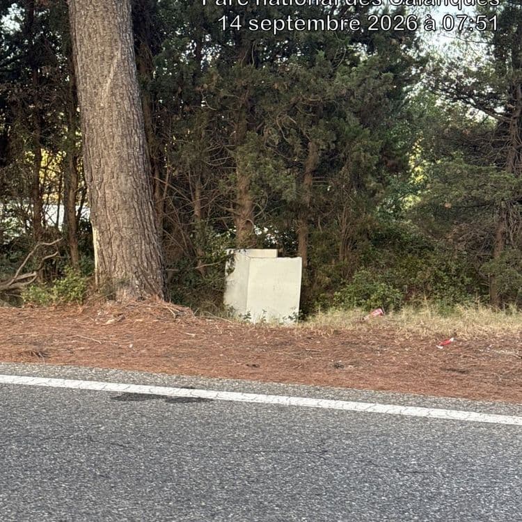 Voici les déchets abandonnés sur le site :

*   Un bloc de béton : Ce déchet de construction ou de démolition est présent en une seule unité. Son poids est estimé à 700 kilogrammes.
*   Des emballages légers : Il s'agit de canettes ou d'emballages plastiques, de couleur rouge et blanche. La quantité est d'environ 3 unités, pour un poids total estimé à 0,2 kilogramme.