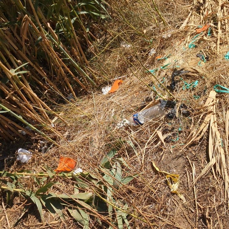 Dépôts plastiques 