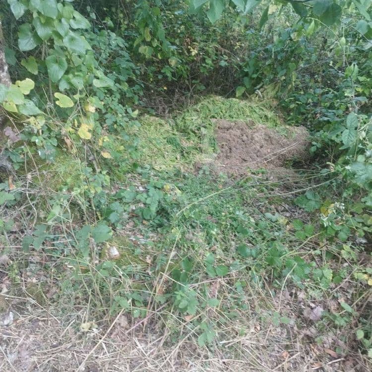 Dépôt de déchets verts 