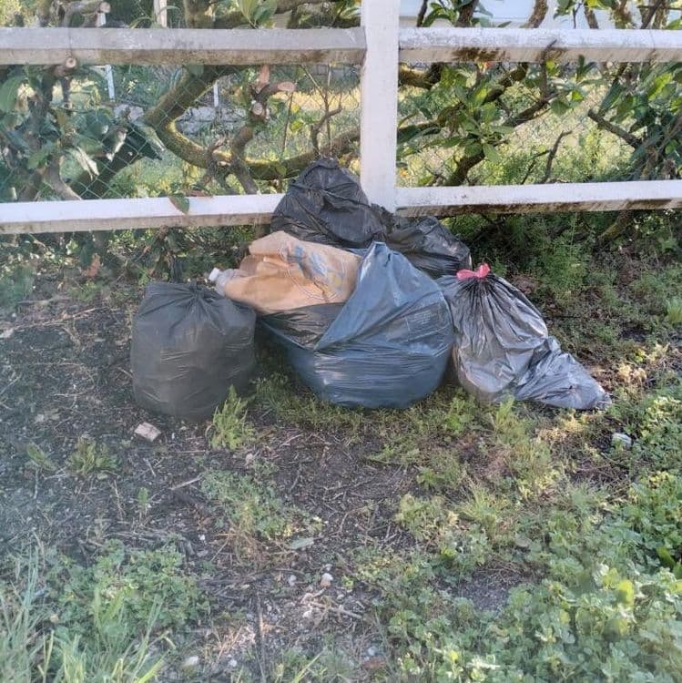 Poubelles ordures ménagères laissées dans l’allée Monique Betuing