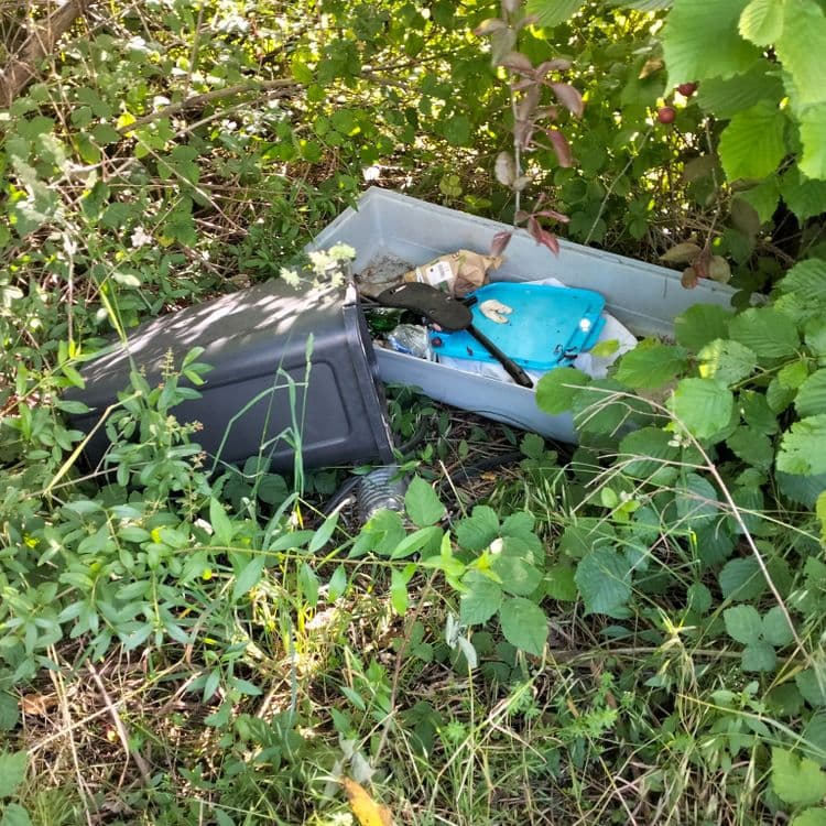 Déchets divers au bord de la route, dans les fourrés 