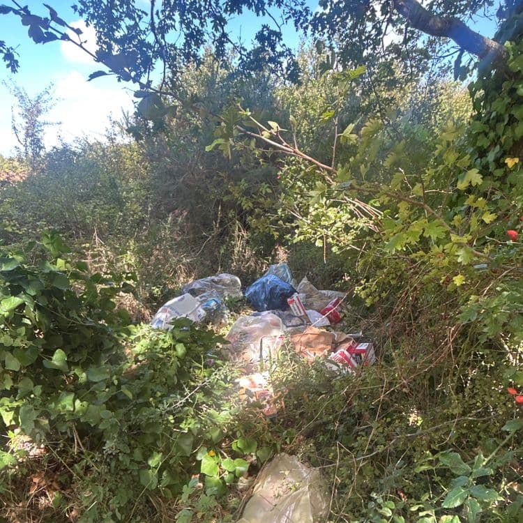 L'analyse révèle la présence de plusieurs types de déchets abandonnés. On observe des sacs plastiques divers, estimés à environ 5 kg au total, avec une quantité d'environ 7 sacs. Des emballages en carton, probablement issus de produits de consommation courante, sont également présents, représentant un poids estimé de 3 kg et une quantité de 5 unités. Divers déchets non identifiés sont visibles, et sont estimés à 2kg.
