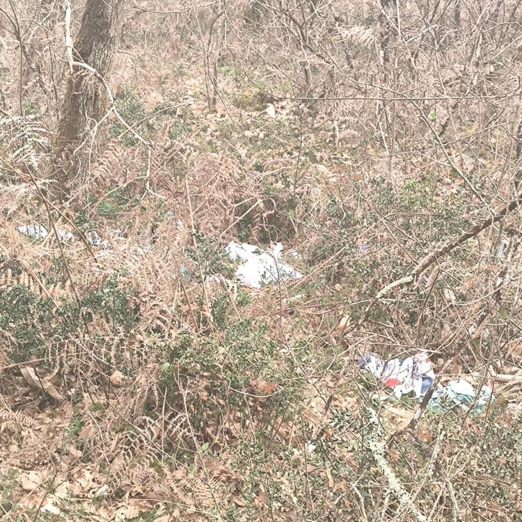 Sur le pare feu juste avant le chemin des limites arbanats virelade 