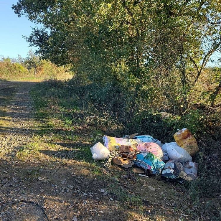 Photo du dépôt signalé