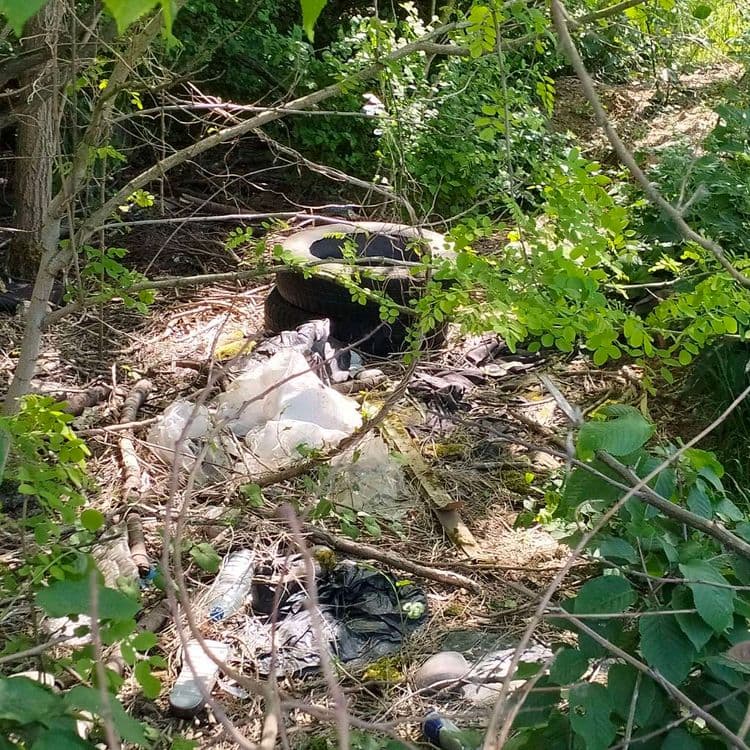 Pneus usagés et déchets divers abandonnés au bord d'un chemin 