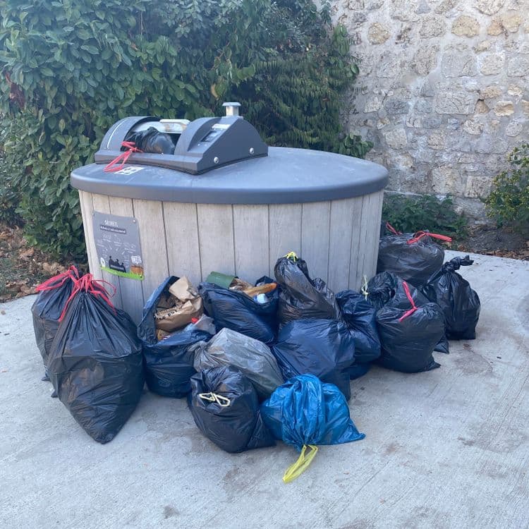 Véhicule ayant déposé 2 sacs noirs au sol

Immatriculé DE642HJ 
J’etais en train de deposer mes poubelles dans le bac jaune je lui ai donc proposé de deposer ses sacs noirs sur d’autres endroits disponibles sur la commune mais elle a refusé 